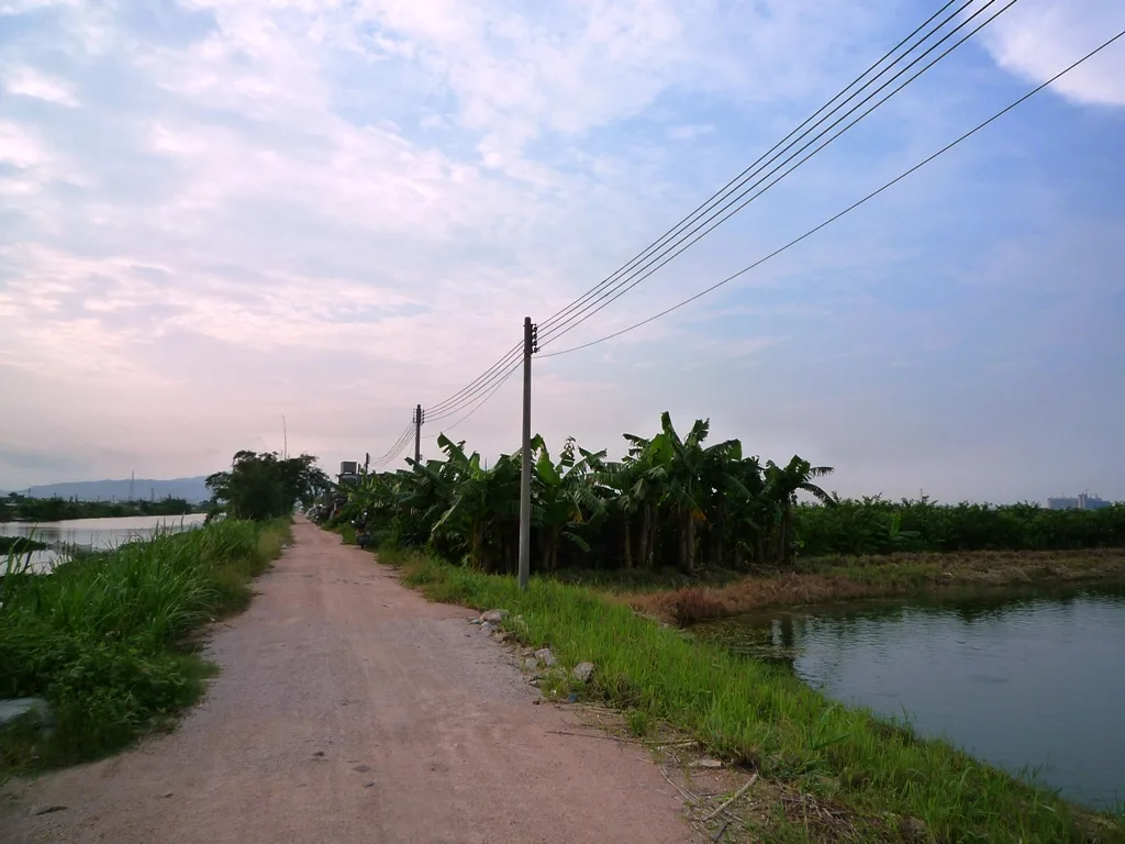 住房后面,最喜欢骑行的乡间小路