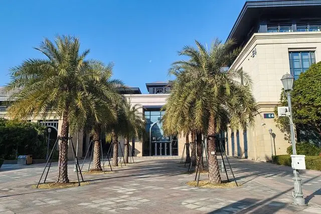 Anthony Lau Building