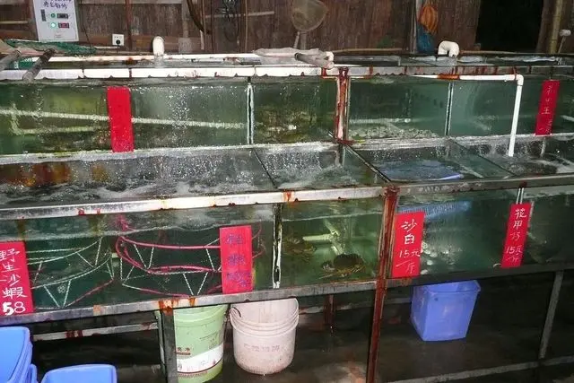 Fish restaurant on Hengqin island in Zhuhai