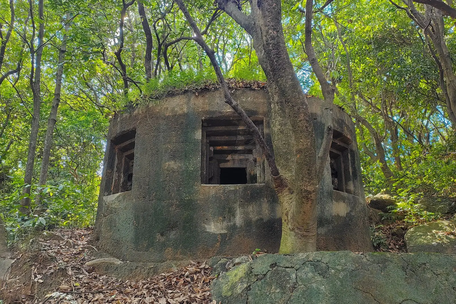 Jiaodingshan Pillbox
