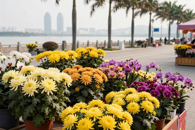 Feriado da Primavera em Zhuhai: flores, turismo e tradição em alta