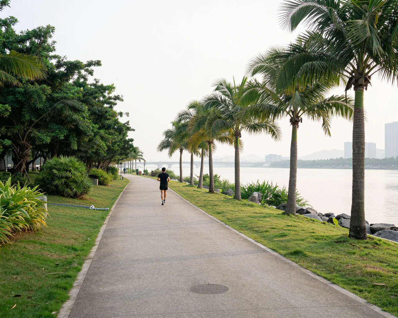 Guia de corrida: 5 rotas para correr em Hengqin