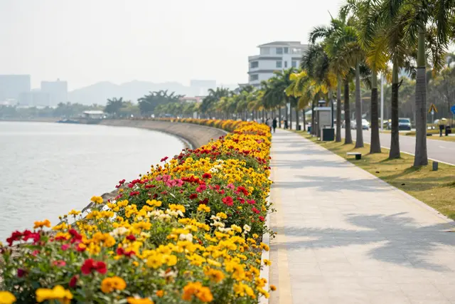 Guia de primavera em Hengqin: quatro roteiros para curtir a ilha
