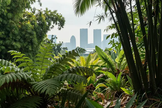 Guia de sobrevivência: como agir se encontrar uma cobra em Hengqin
