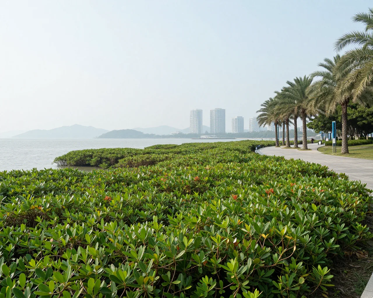 Hengqin abre inscrições para fórum internacional sobre biodiversidade