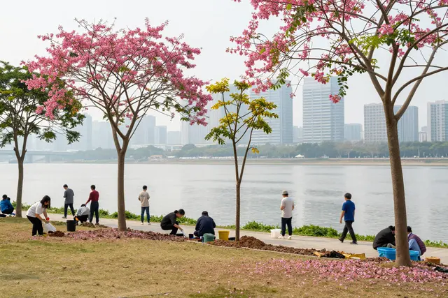 Hengqin lança Semana da Natureza com plantio simbólico para integrar Macau