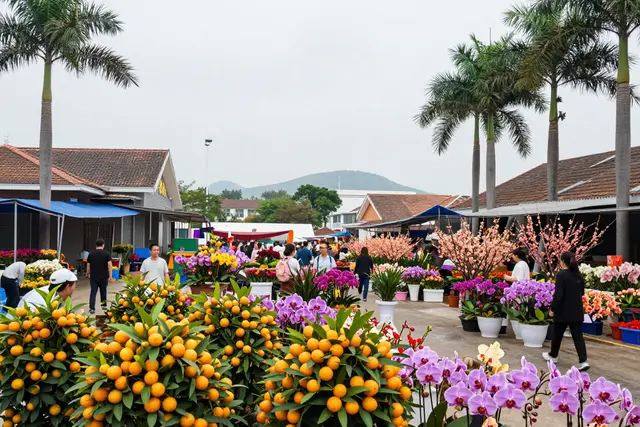 Mercado de flores de Zhuhai renova-se para receber turistas do Brasil e de Macau