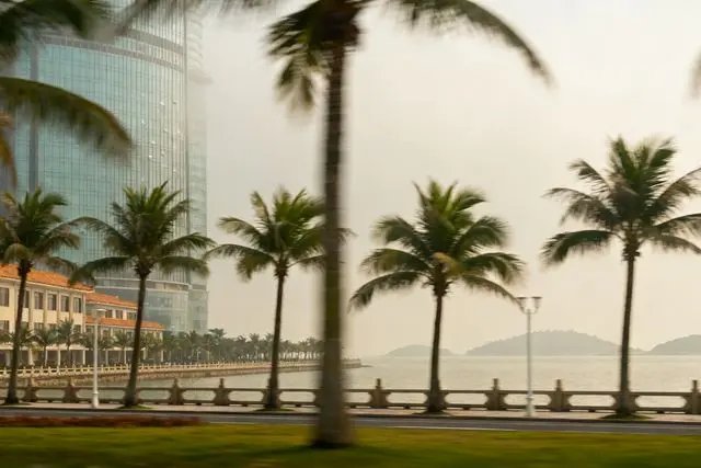 Parceria entre Zhuhai e seguradora chinesa impulsiona projeto na ilha da Ponte HZMB