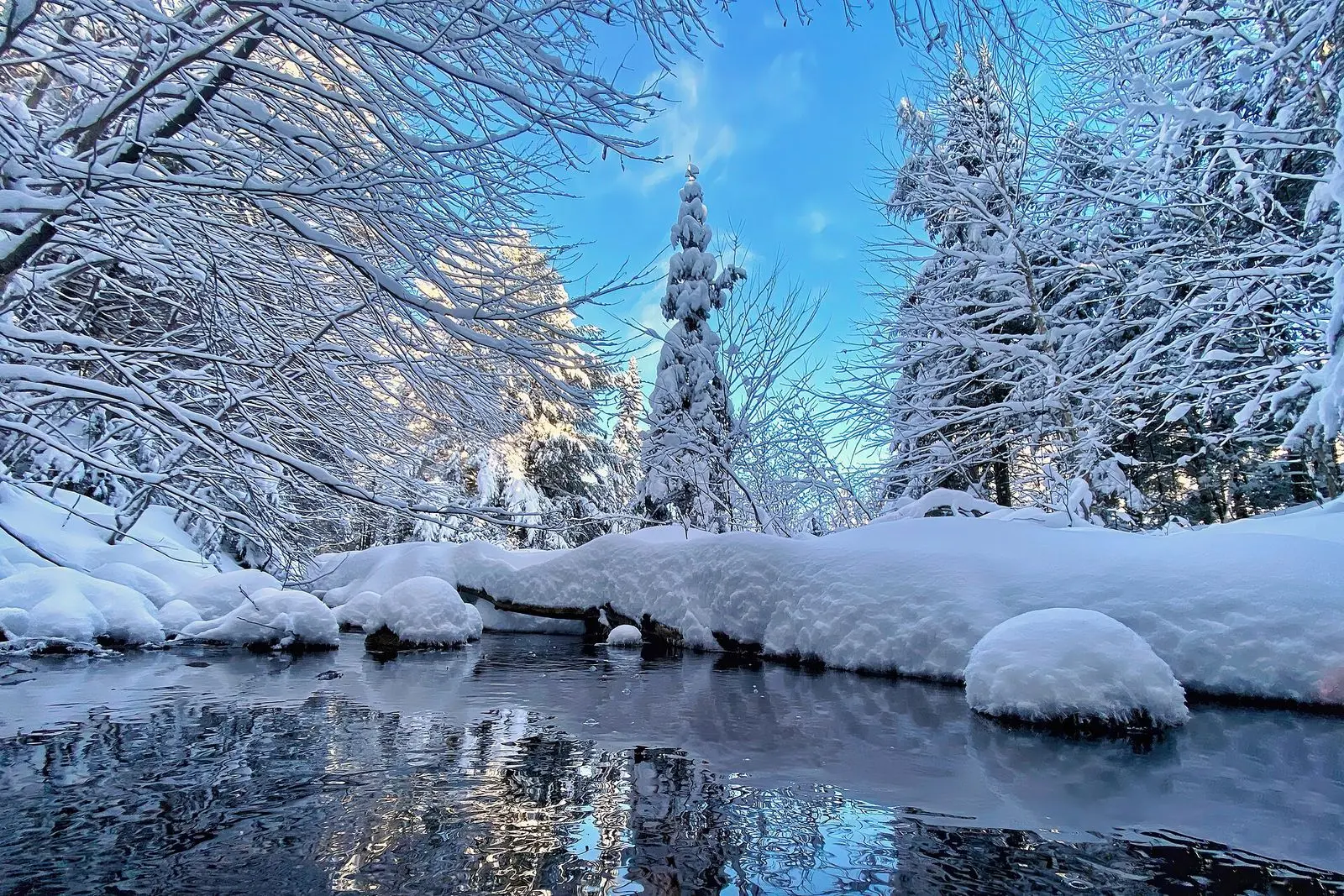 Parque do Lago Jin (金湖公园)