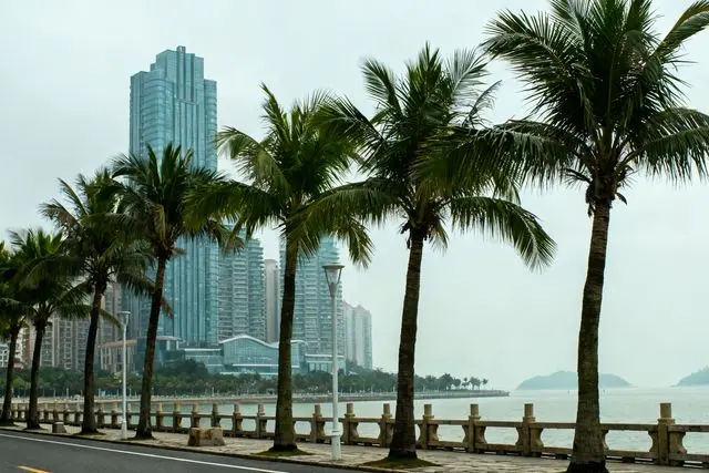Peixe dourado de Zhuhai ganha selo nacional de qualidade na China