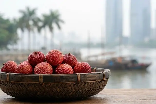 Romaria da lichia que virou negócio: Zhuhai exporta fruta premium para cinco cidades