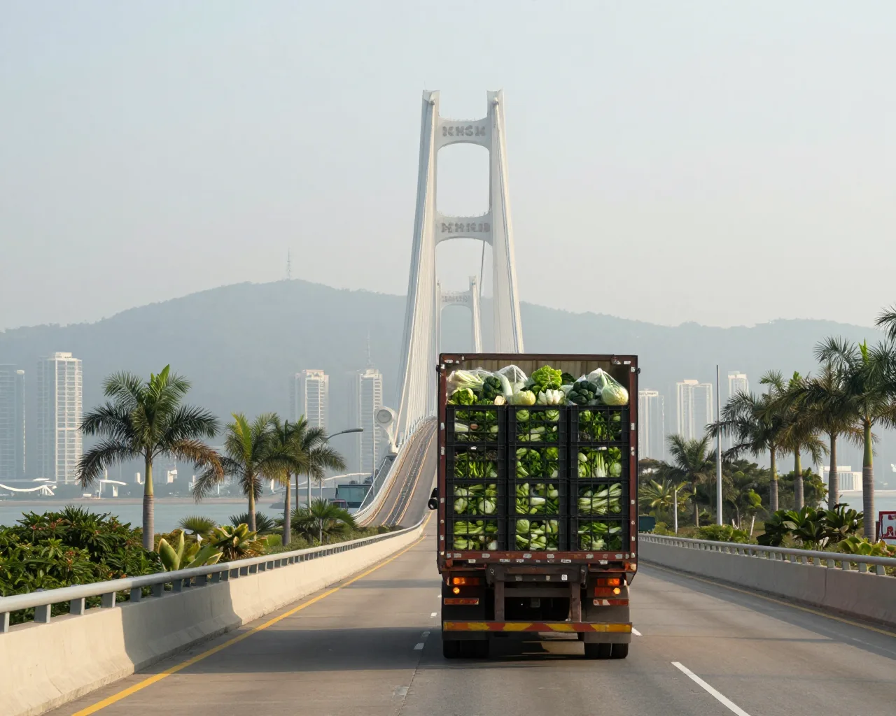 Vegetais de Zhuhai chegam a Hong Kong pela Ponte HZMB em 4 horas