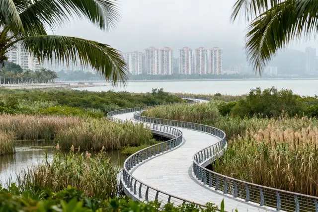 Zhuhai abre corredor ecológico de 3,8 km na zona de Doumen com pistas para carros e trilhas