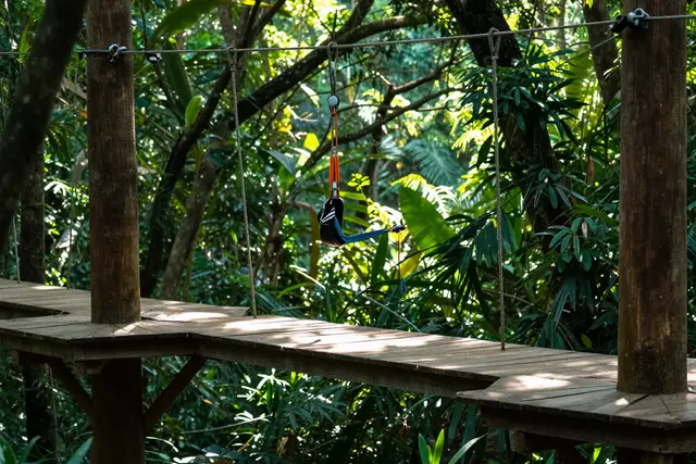 Zhuhai abre em maio parque de aventura na árvore com cinco níveis de dificuldade