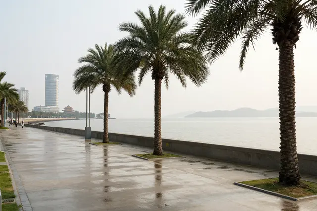 Zhuhai alerta para riscos de consumo de moluscos na primavera