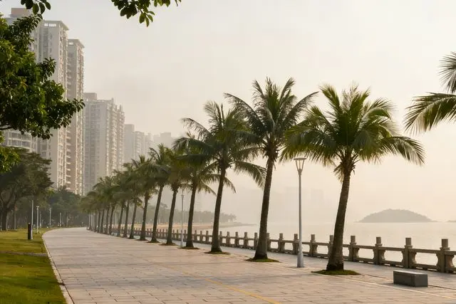 Zhuhai amplia vagas e garante matrícula em escolas públicas apesar de alta na demanda