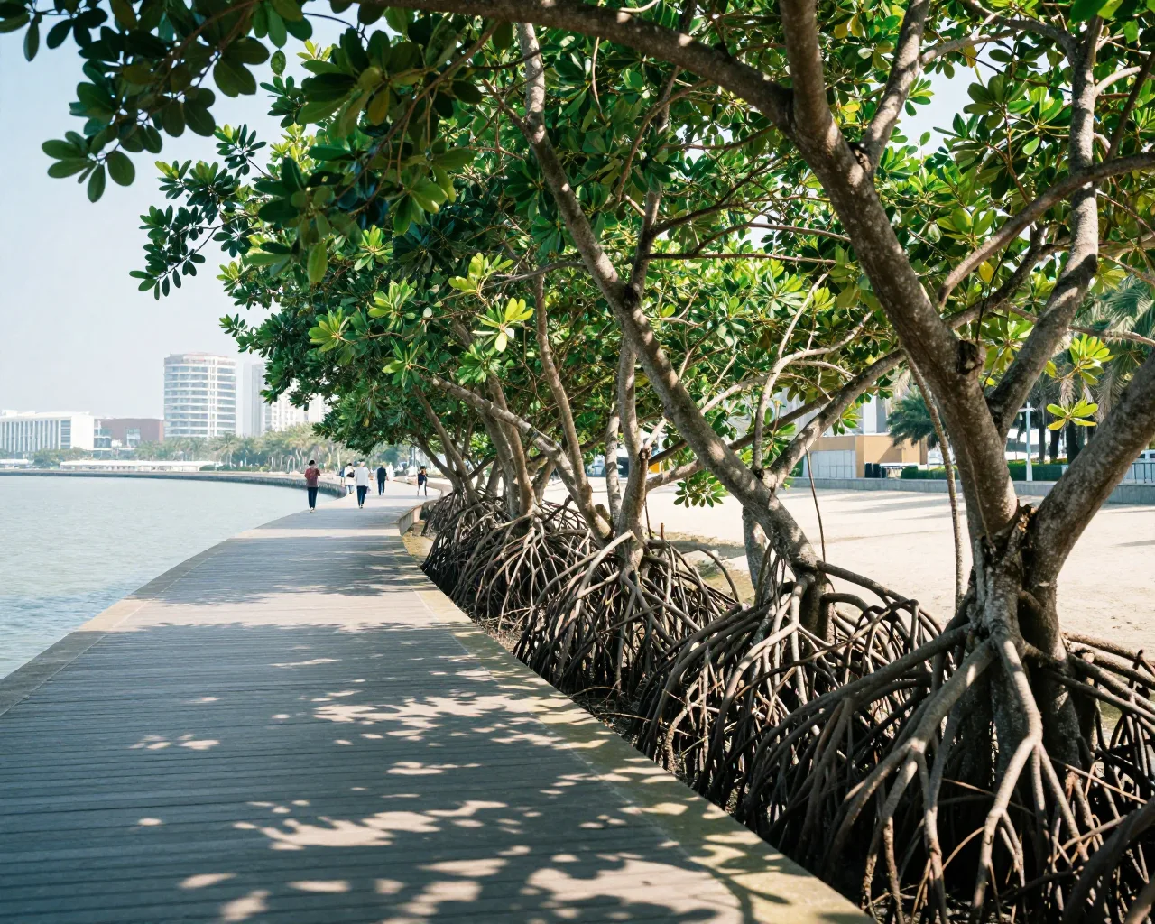 Zhuhai aposta em manguezais e ar limpo para atrair turistas e garantir qualidade de vida