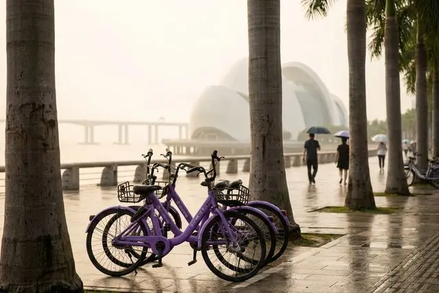 Zhuhai ganha 3 mil bicicletas compartilhadas roxas com landmarks da cidade