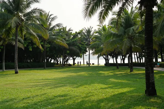 Zhuhai proíbe fogo em áreas verdes de setembro a abril