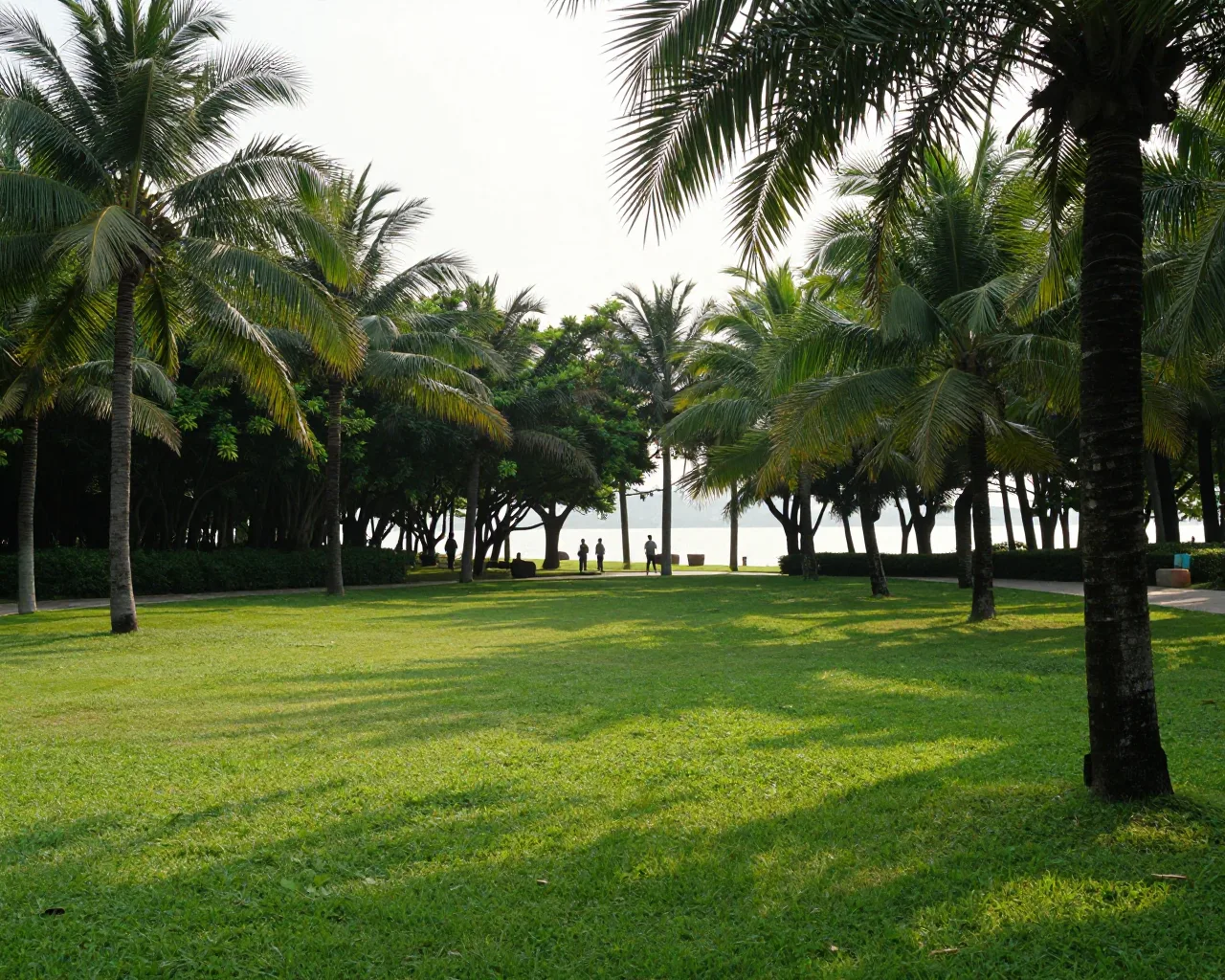 Zhuhai proíbe fogo em áreas verdes de setembro a abril